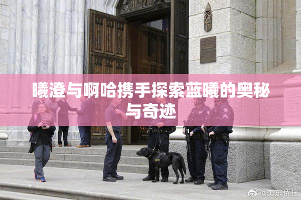 曦澄与啊哈携手探索蓝曦的奥秘与奇迹