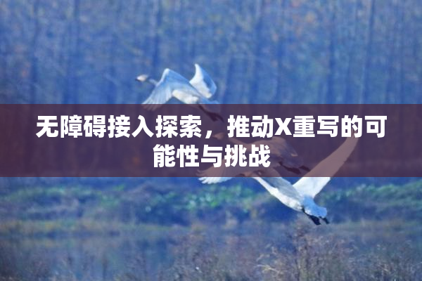 无障碍接入探索，推动X重写的可能性与挑战