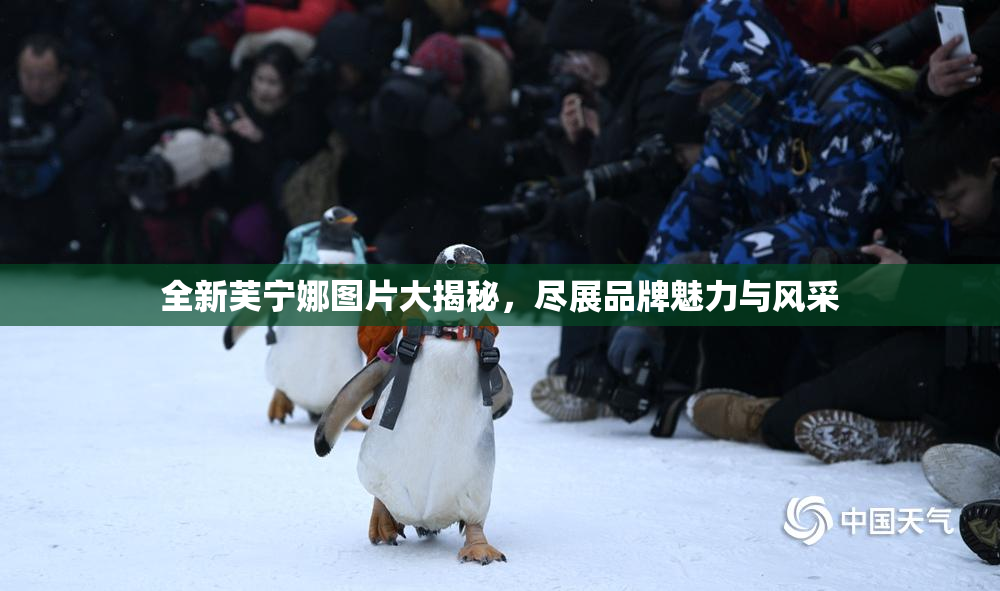 全新芙宁娜图片大揭秘，尽展品牌魅力与风采