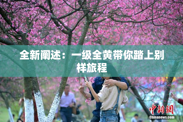 全新阐述：一级全黄带你踏上别样旅程