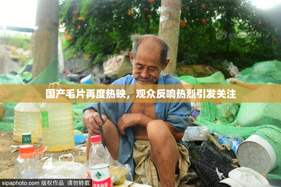 国产毛片再度热映，观众反响热烈引发关注