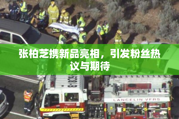 张柏芝携新品亮相，引发粉丝热议与期待