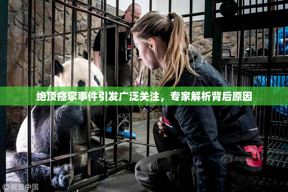 绝顶痉挛事件引发广泛关注，专家解析背后原因