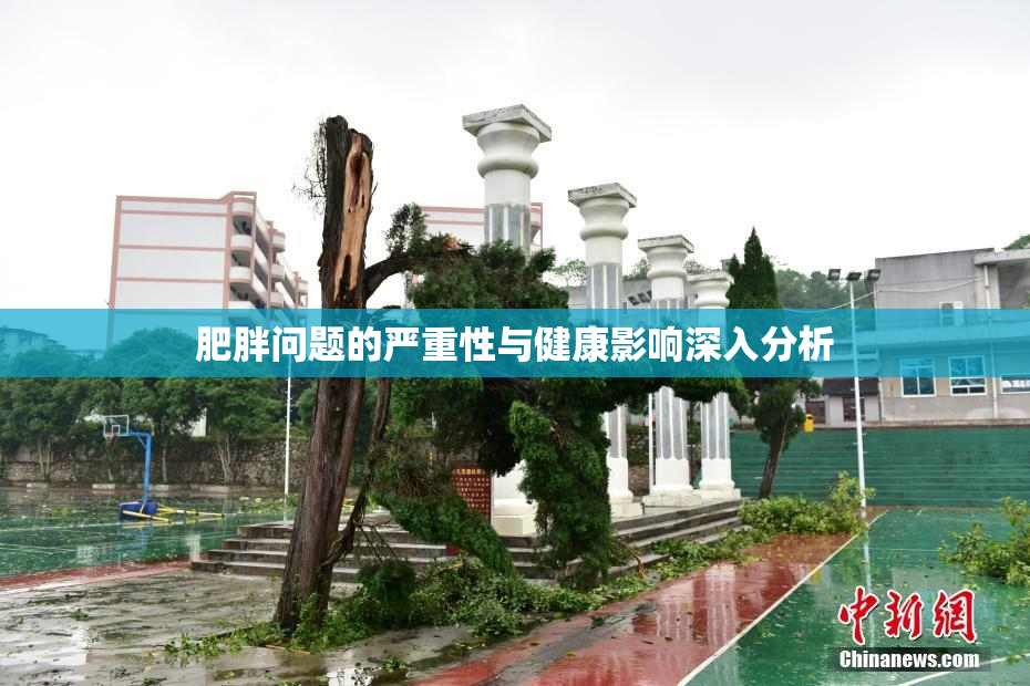 肥胖问题的严重性与健康影响深入分析