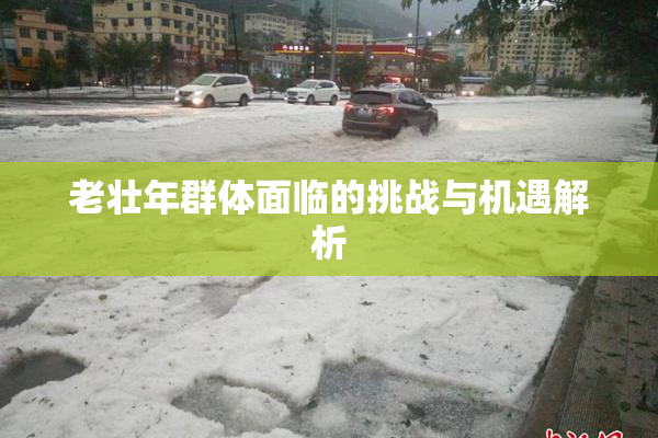 老壮年群体面临的挑战与机遇解析