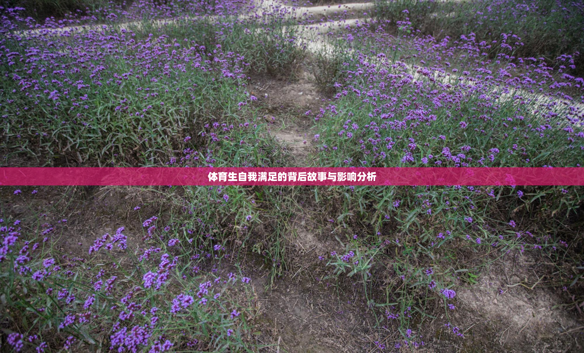 体育生自我满足的背后故事与影响分析