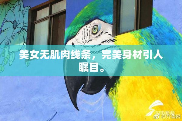 美女无肌肉线条，完美身材引人瞩目。
