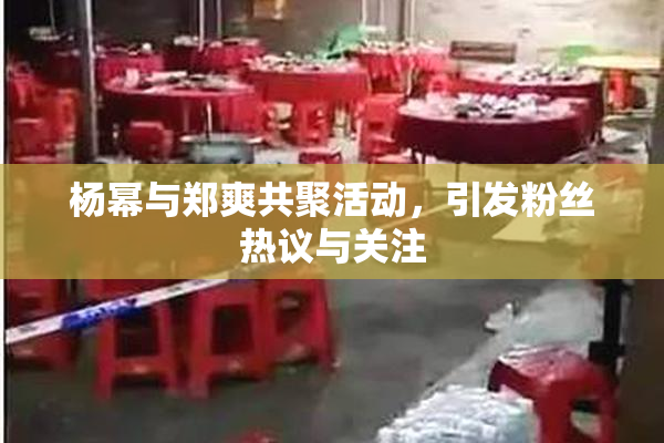 杨幂与郑爽共聚活动，引发粉丝热议与关注