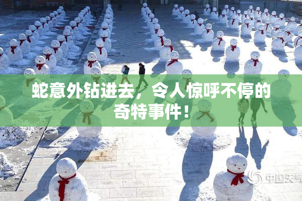 蛇意外钻进去，令人惊呼不停的奇特事件！