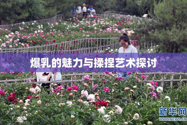 爆乳的魅力与揉捏艺术探讨
