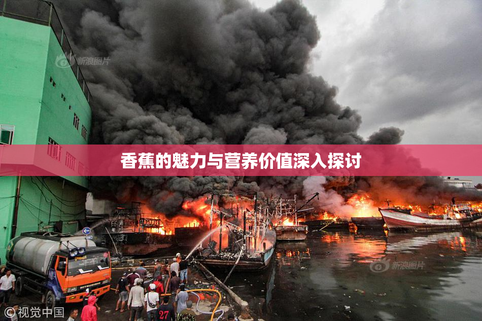 香蕉的魅力与营养价值深入探讨