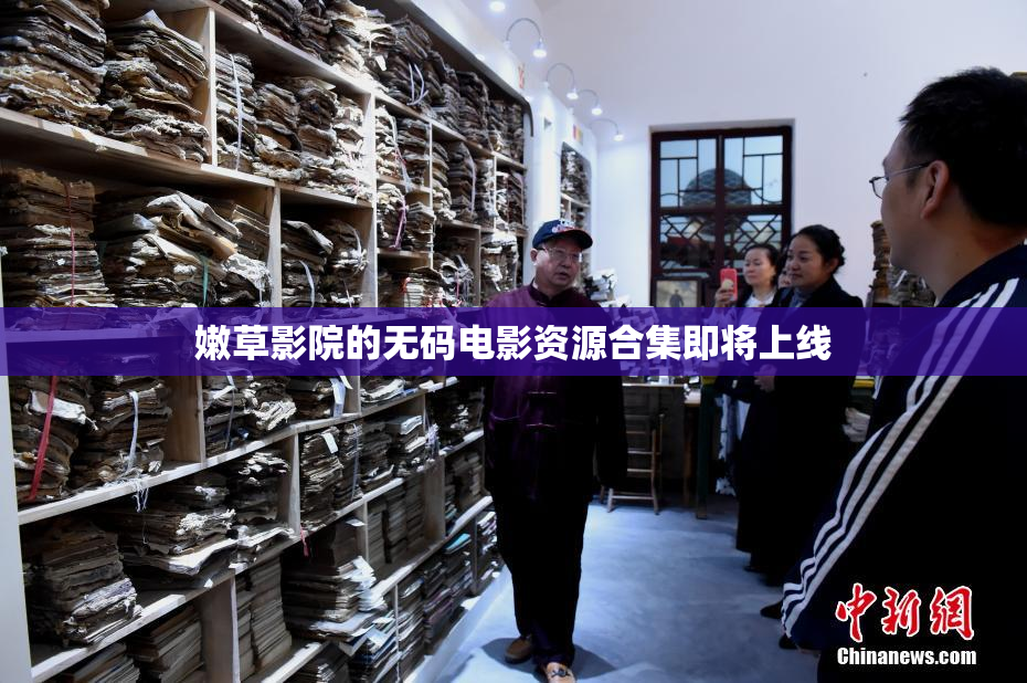 嫩草影院的无码电影资源合集即将上线