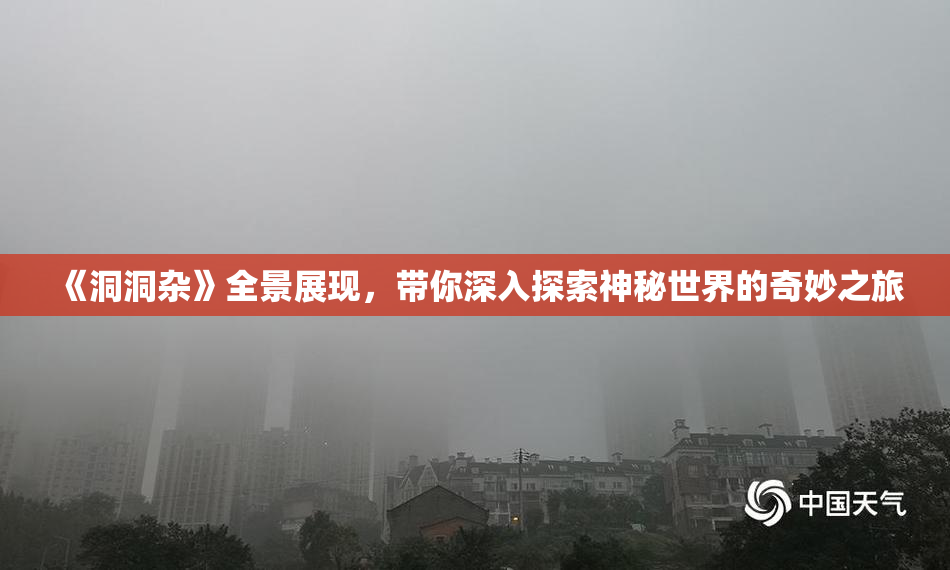 《洞洞杂》全景展现，带你深入探索神秘世界的奇妙之旅