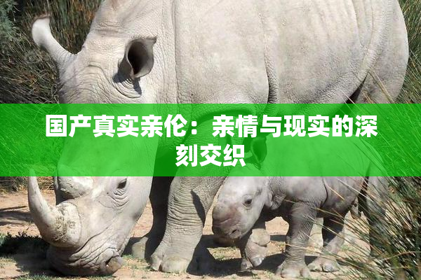 国产真实亲伦：亲情与现实的深刻交织