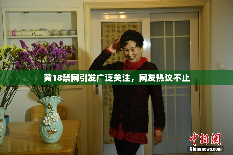 黄18禁网引发广泛关注，网友热议不止