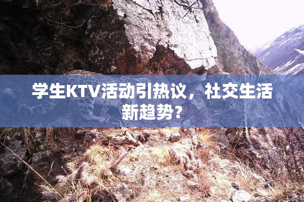 学生KTV活动引热议，社交生活新趋势？