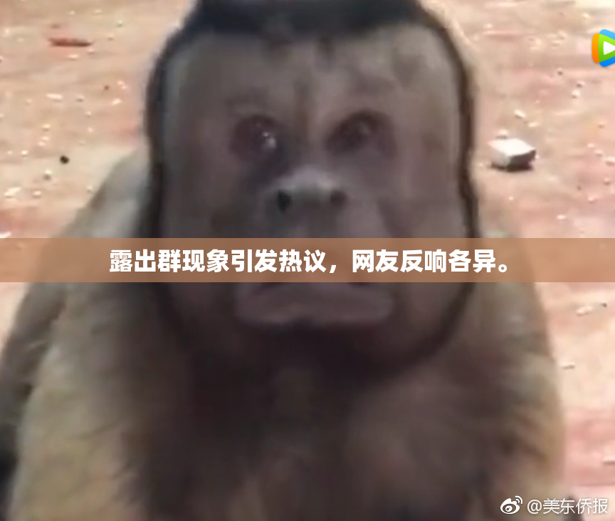 露出群现象引发热议，网友反响各异。