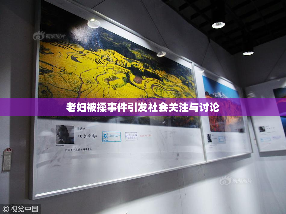 老妇被搡事件引发社会关注与讨论