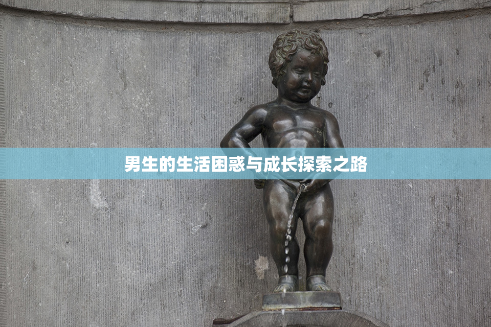 男生的生活困惑与成长探索之路