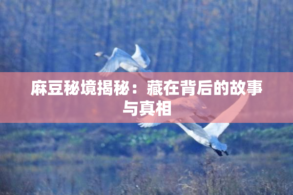 麻豆秘境揭秘：藏在背后的故事与真相