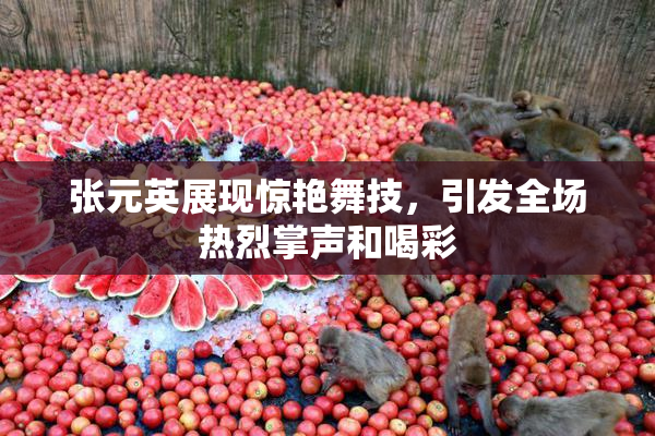 张元英展现惊艳舞技，引发全场热烈掌声和喝彩