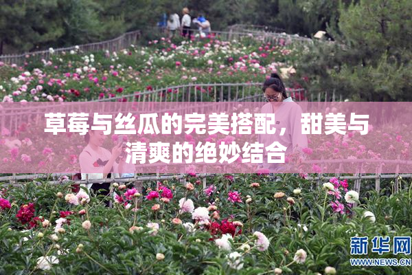 草莓与丝瓜的完美搭配，甜美与清爽的绝妙结合