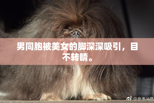男同胞被美女的脚深深吸引，目不转睛。