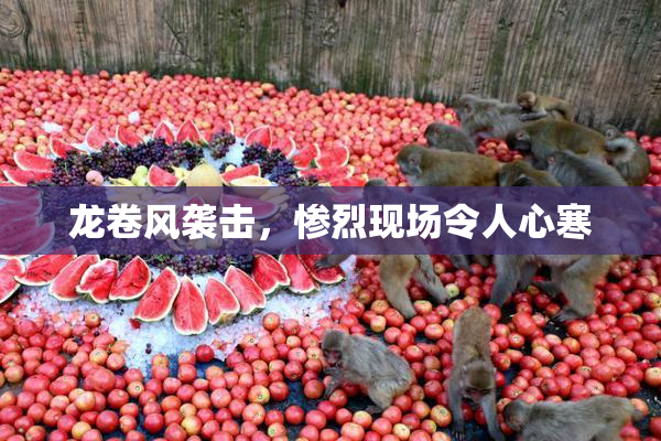 龙卷风袭击，惨烈现场令人心寒