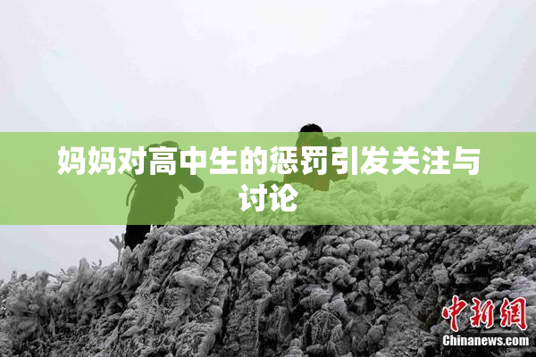 妈妈对高中生的惩罚引发关注与讨论