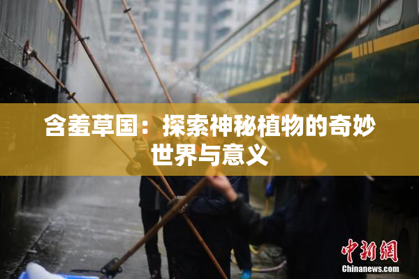 含羞草国：探索神秘植物的奇妙世界与意义