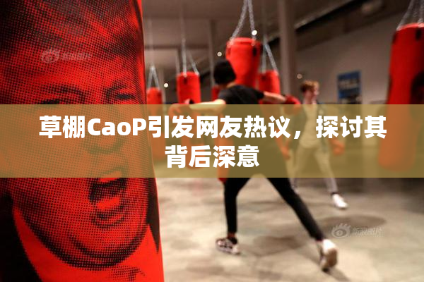 草棚CaoP引发网友热议，探讨其背后深意