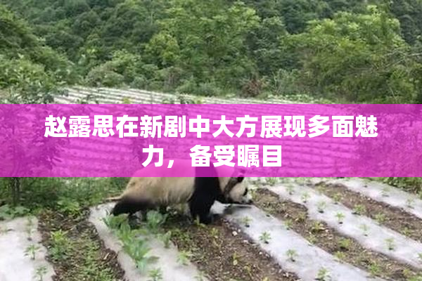 赵露思在新剧中大方展现多面魅力，备受瞩目