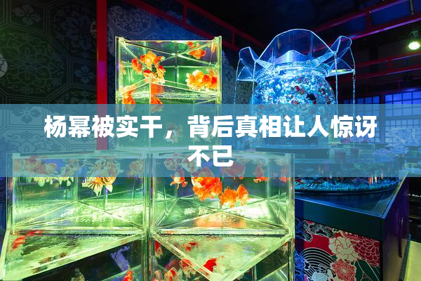 杨幂被实干，背后真相让人惊讶不已