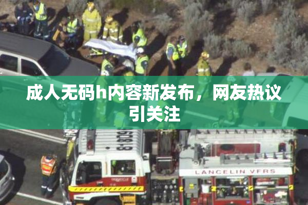 成人无码h内容新发布，网友热议引关注