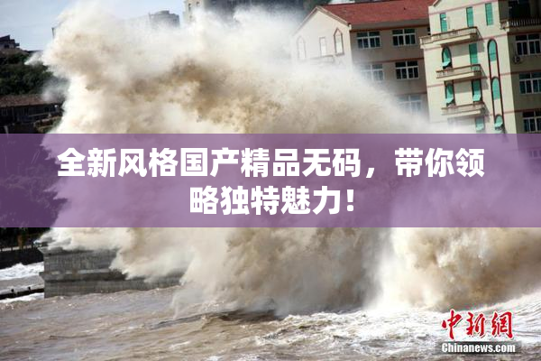 全新风格国产精品无码，带你领略独特魅力！
