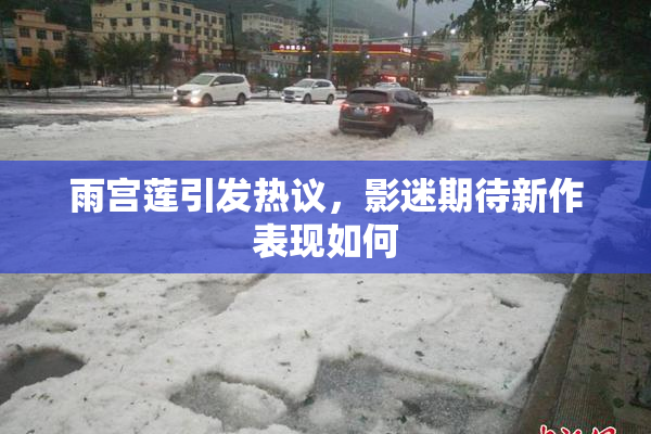 雨宫莲引发热议，影迷期待新作表现如何