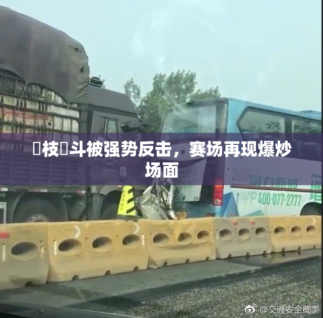 狛枝凪斗被强势反击，赛场再现爆炒场面