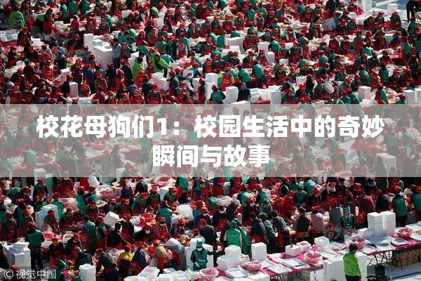 校花母狗们1：校园生活中的奇妙瞬间与故事