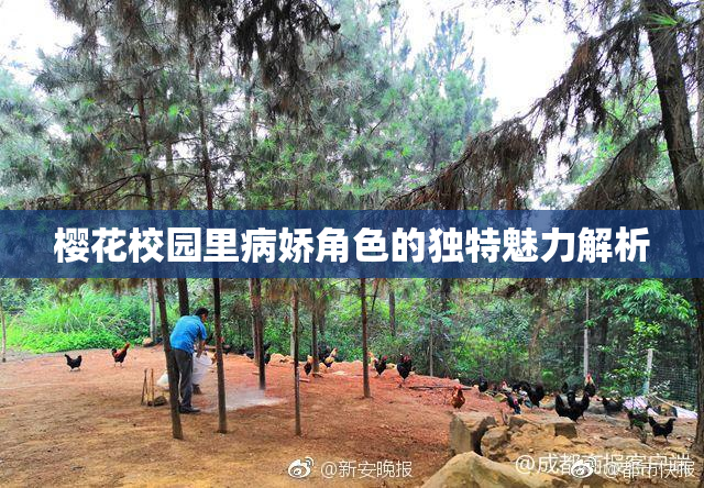 樱花校园里病娇角色的独特魅力解析