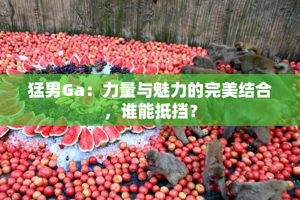猛男Ga：力量与魅力的完美结合，谁能抵挡？