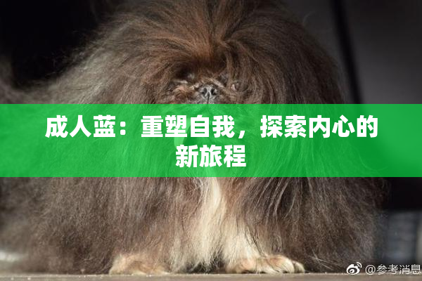 成人蓝：重塑自我，探索内心的新旅程