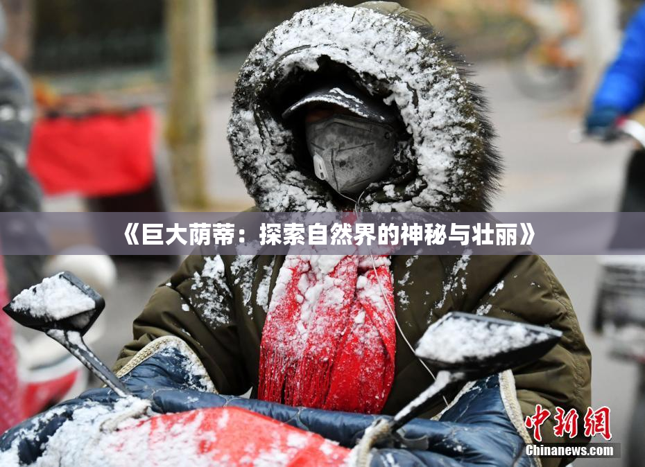 《巨大荫蒂：探索自然界的神秘与壮丽》