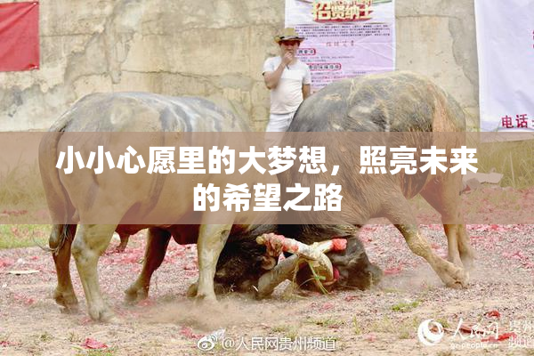 小小心愿里的大梦想，照亮未来的希望之路