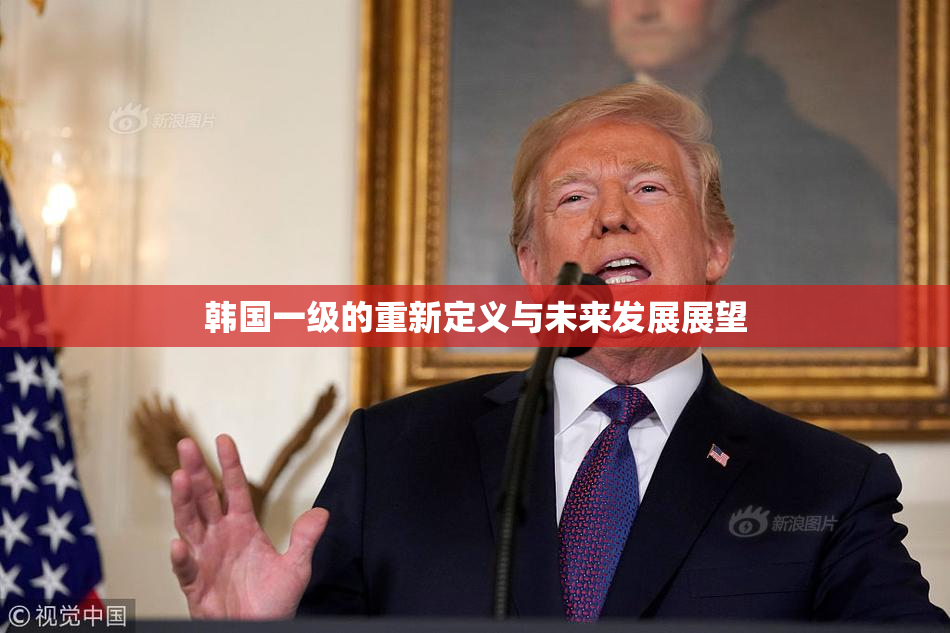 韩国一级的重新定义与未来发展展望