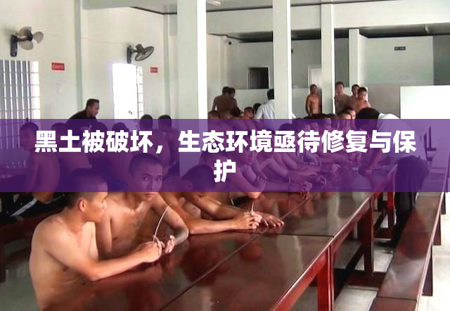 黑土被破坏，生态环境亟待修复与保护