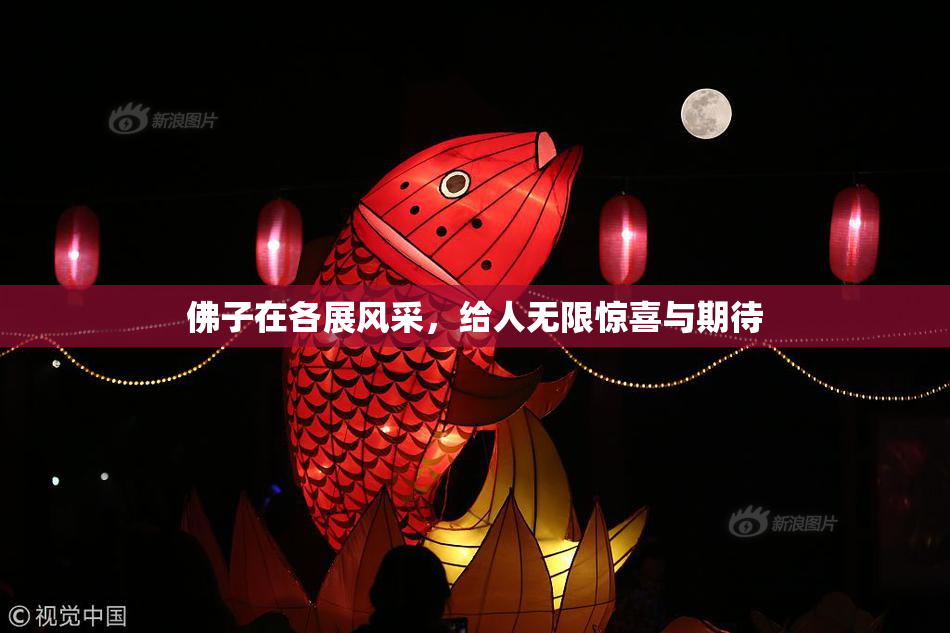 佛子在各展风采，给人无限惊喜与期待