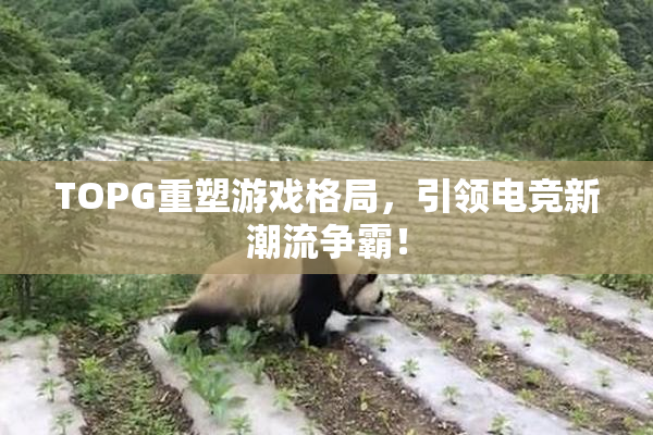 TOPG重塑游戏格局，引领电竞新潮流争霸！