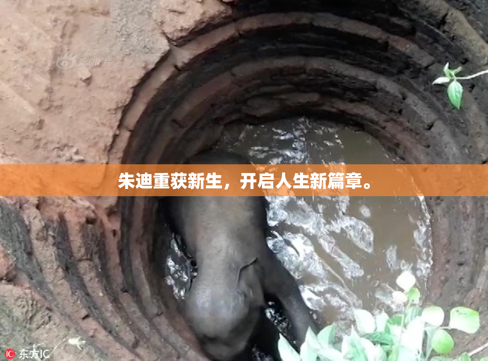 朱迪重获新生，开启人生新篇章。