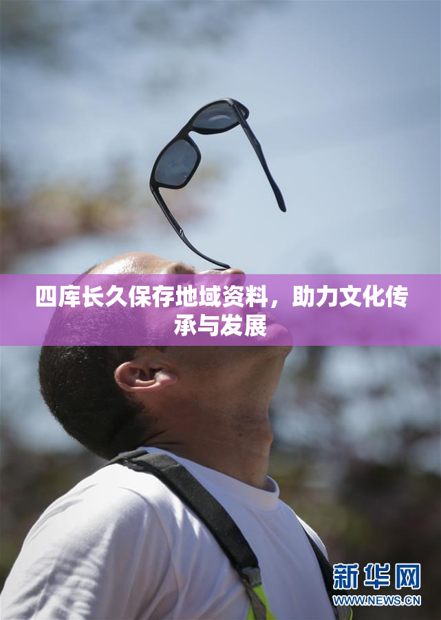 四库长久保存地域资料，助力文化传承与发展