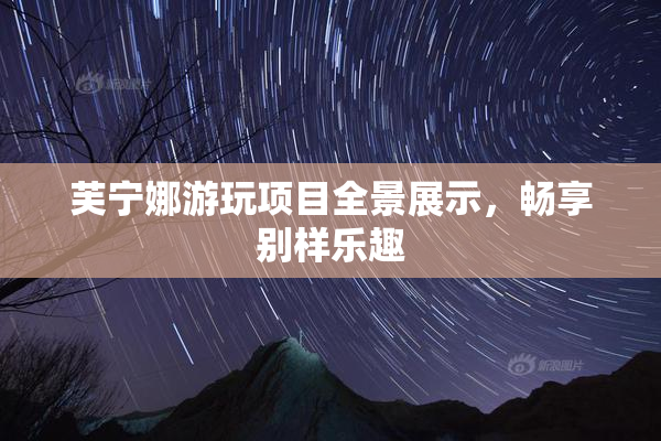 芙宁娜游玩项目全景展示，畅享别样乐趣